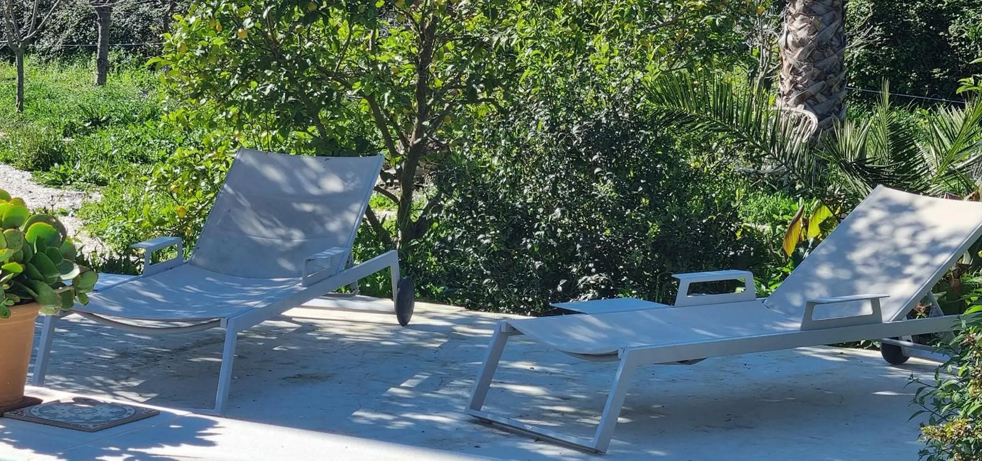 Casa Papaver, Studio Коин